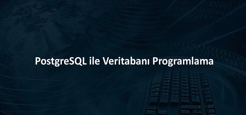 PostgreSQL ile Veritabanı Programlama Eğitimi